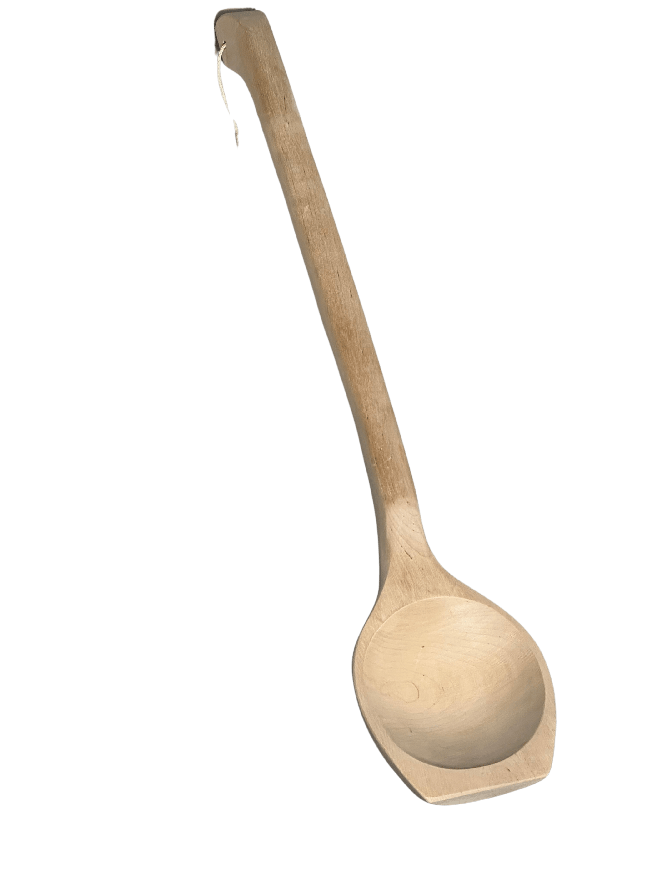 Spoon with ToWell logo